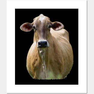 cute cow Posters and Art